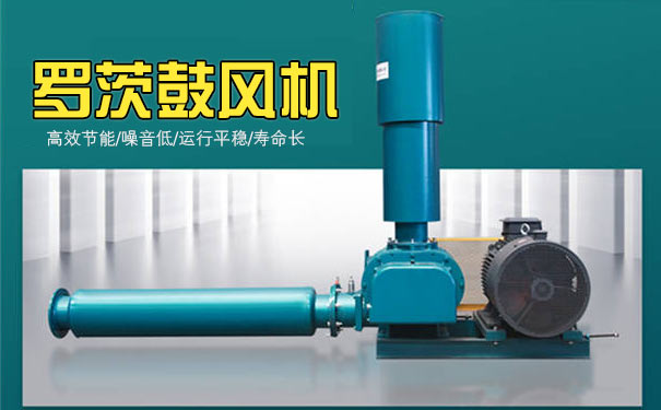 羅茨風(fēng)機(jī) 羅茨風(fēng)機(jī)