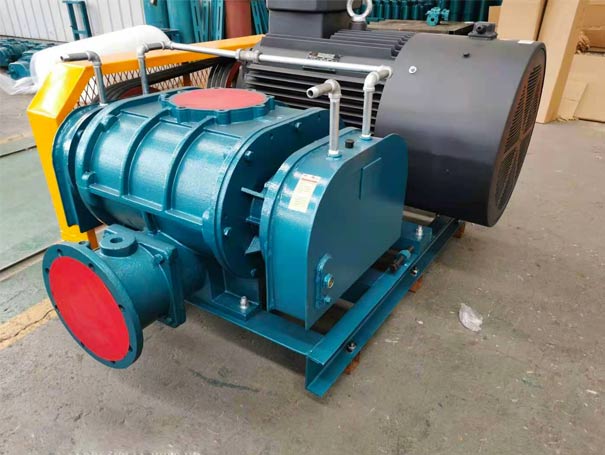 高壓羅茨鼓風(fēng)機(jī) 高壓羅茨鼓風(fēng)機(jī)