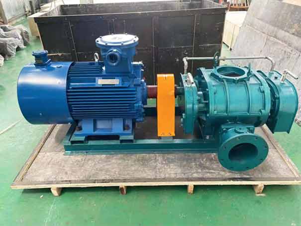 直連式羅茨風(fēng)機(jī)-直連傳動(dòng)式三葉羅茨鼓風(fēng)機(jī)工廠實(shí)拍圖 直連傳動(dòng)式三葉羅茨鼓風(fēng)機(jī)(圖7)